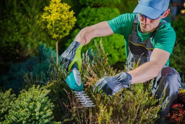 landscaping services Swartz Creek